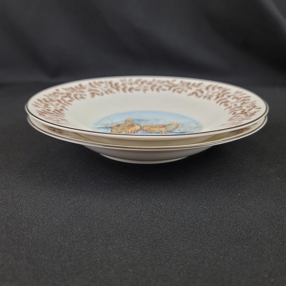 (2) WILD BIRDS Porcelain Soup Bowls - Picture 10 of 12